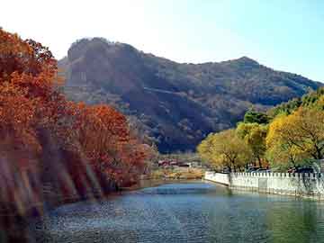 新澳天天开奖资料大全旅游团，驭晶卡师